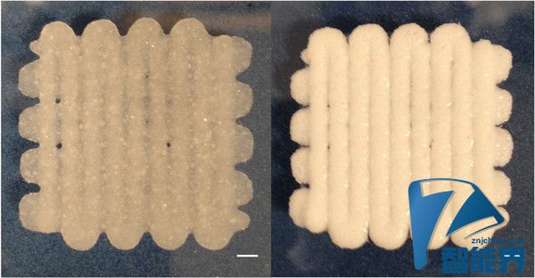 3D打印的“面包”可以用來(lái)治療骨科疾病