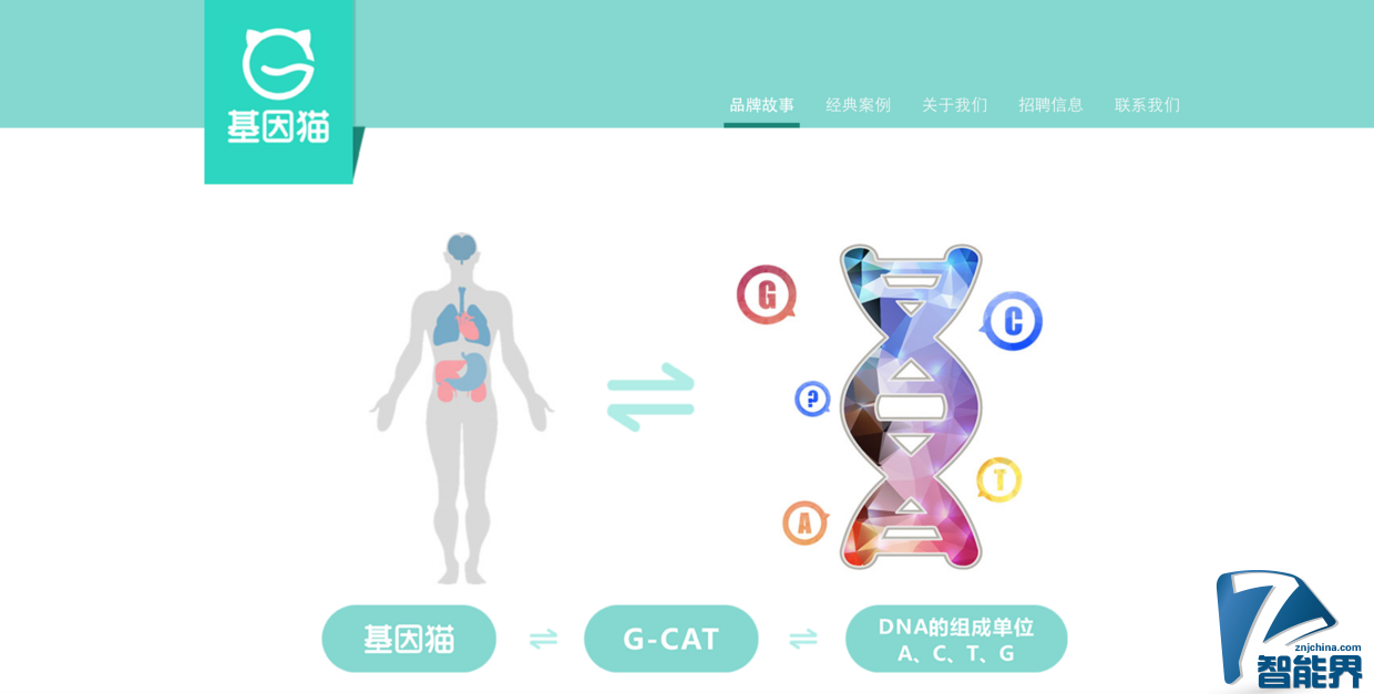 基因檢測可能要打價格戰(zhàn)了，全環(huán)節(jié)自研的 “基因貓” 能突圍而出嗎